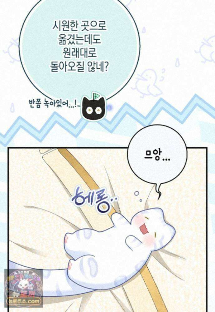흑표 가문의 설표 아기님 흑표 가문의 동물 가족들 12화 17