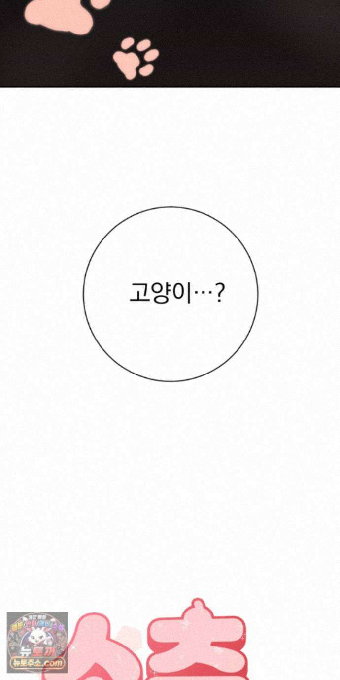 소추저주 13화 66