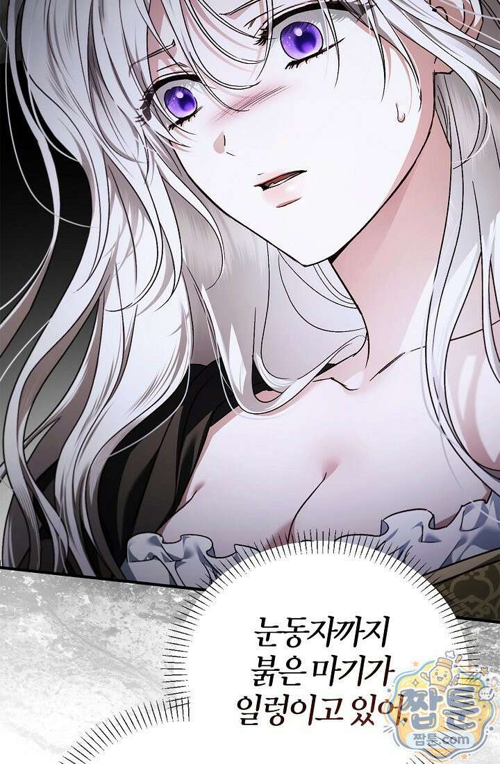 남편은 분명 성기사였는데 5화 16