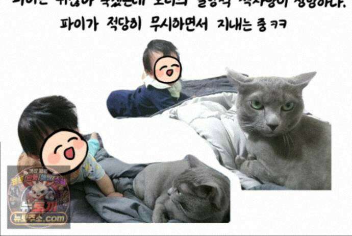 재활용 머학생 169화 휴재 권하는 사회 76