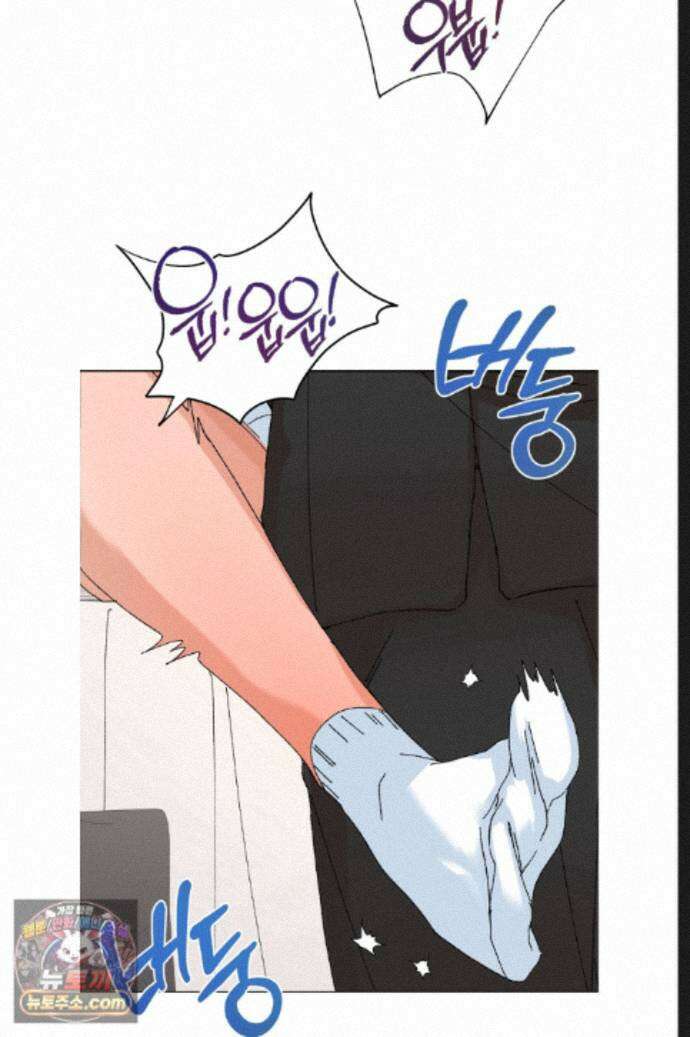 신혼부부 특별전형 51화 11