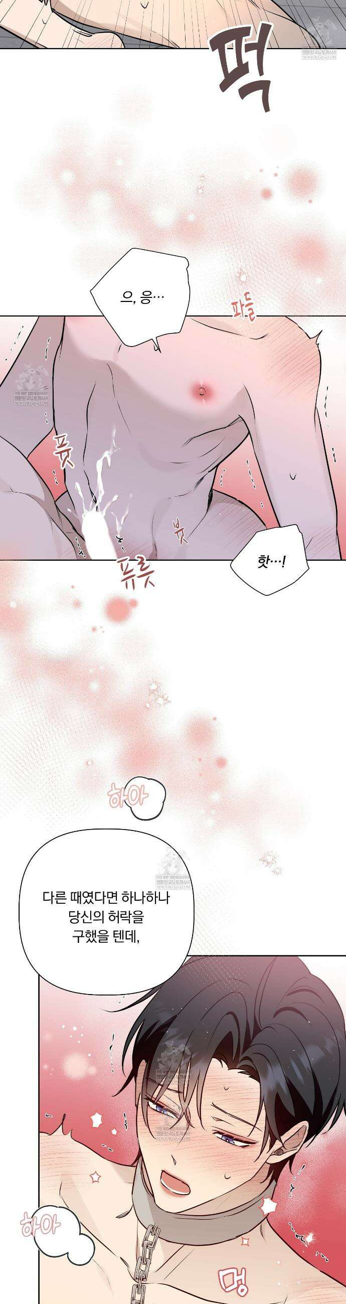 완벽한 오메가 58화 18