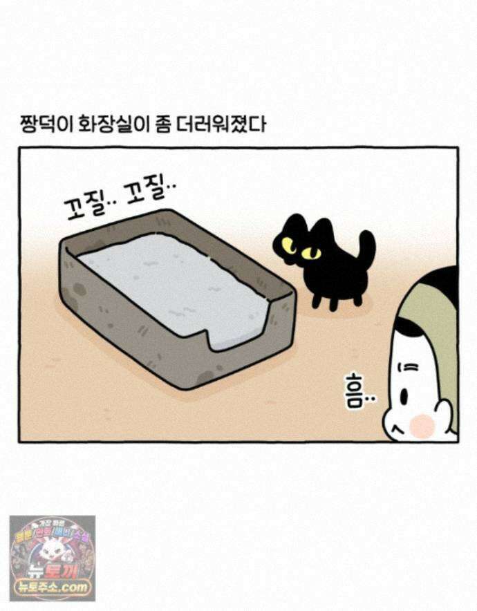 먼지 덩어리 짱덕 75. 전체갈이 2