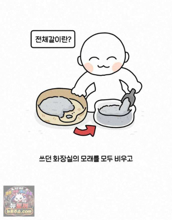 먼지 덩어리 짱덕 75. 전체갈이 4