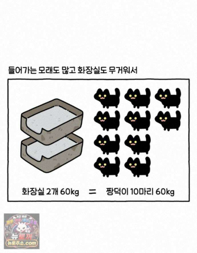 먼지 덩어리 짱덕 75. 전체갈이 10