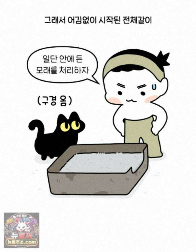 먼지 덩어리 짱덕 75. 전체갈이 13