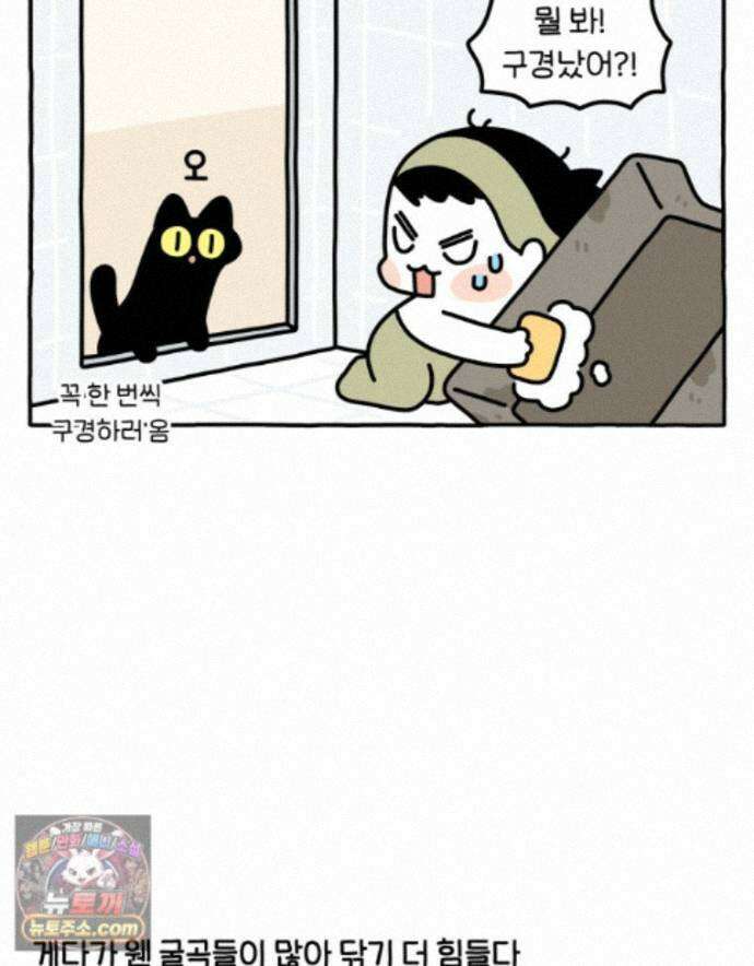 먼지 덩어리 짱덕 75. 전체갈이 25