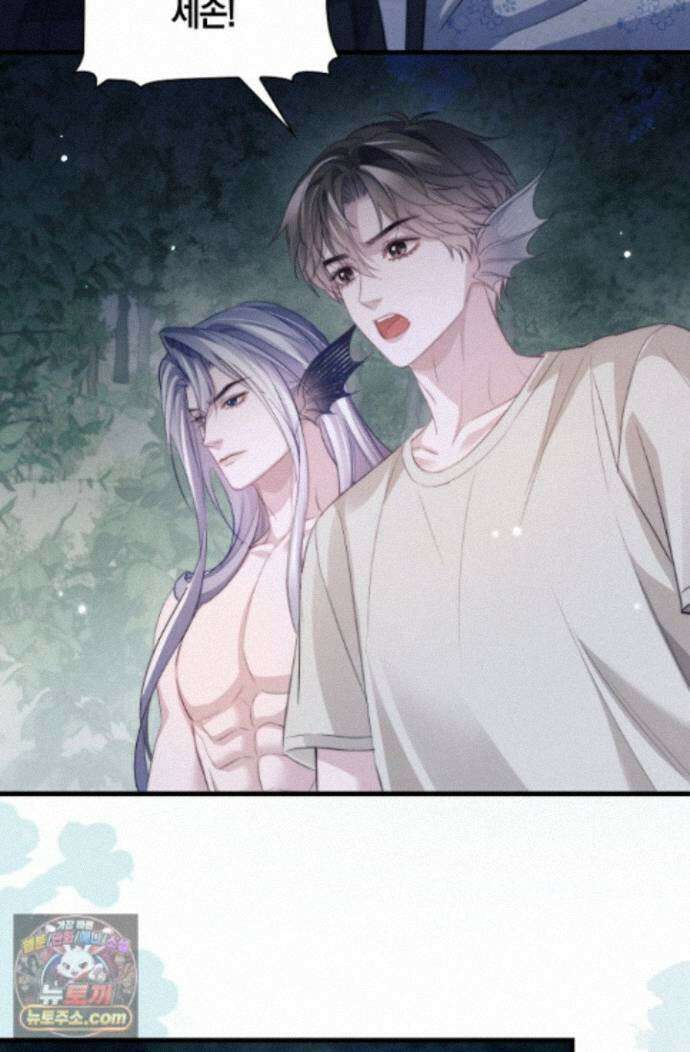 다니엘의 인어 141화 15