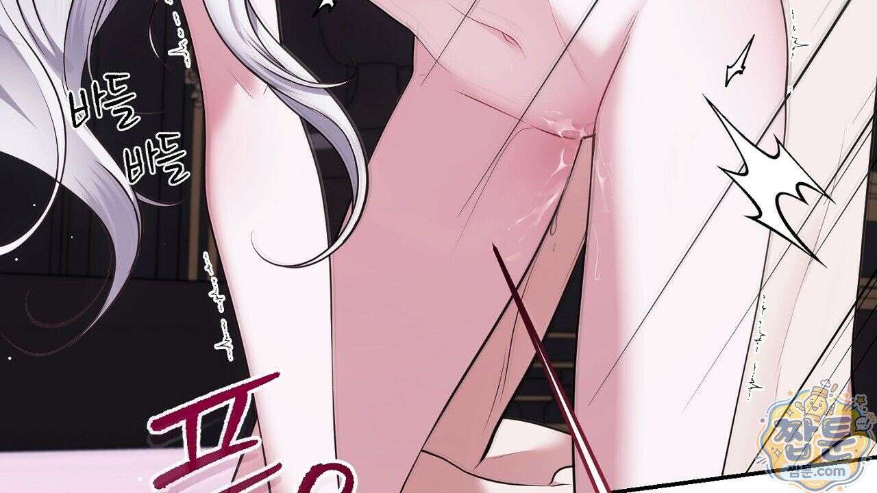 오만한 개새끼의 목줄을 잡았다 12화 34