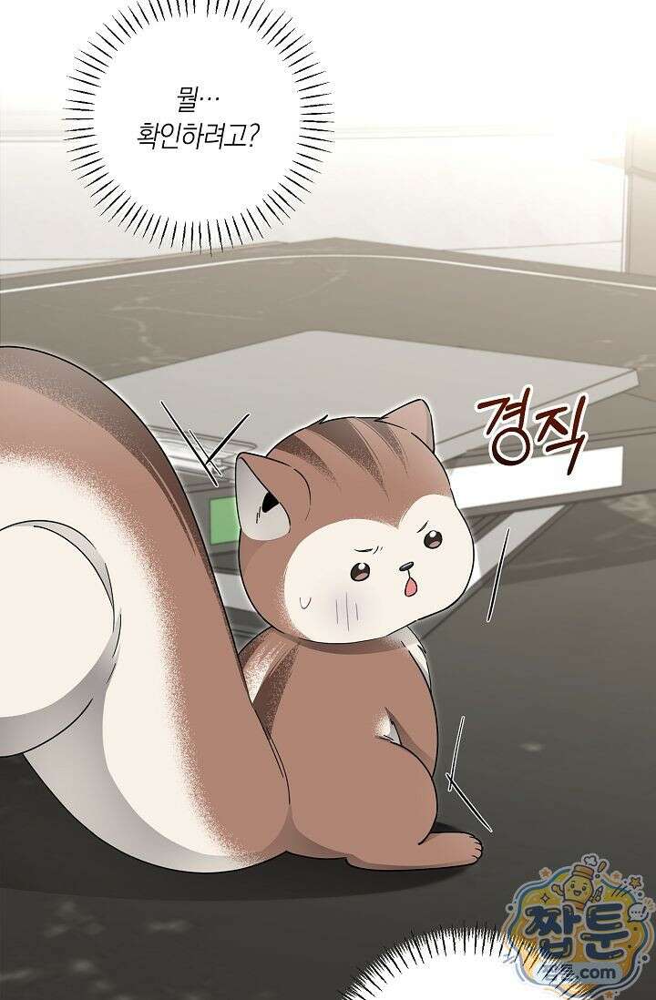외로운 다람쥐도 제 굴이 있다 9화 2