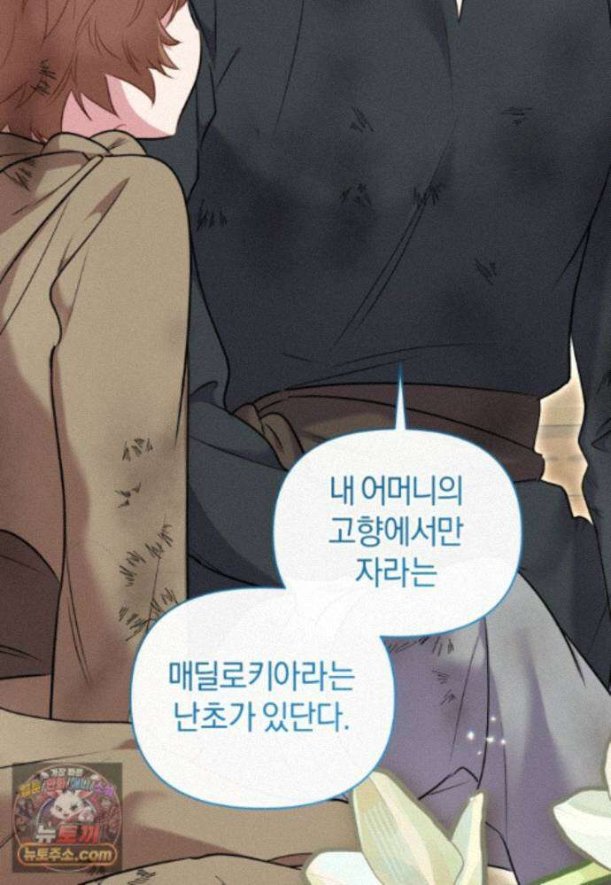 걱정 마세요, 합의된 사기 결혼입니다 75화 2