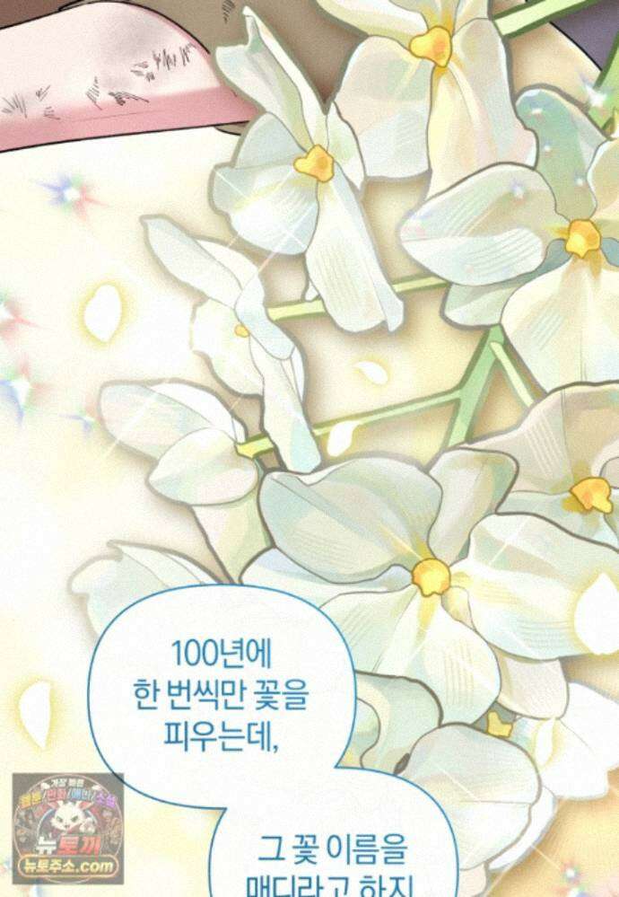 걱정 마세요, 합의된 사기 결혼입니다 75화 3