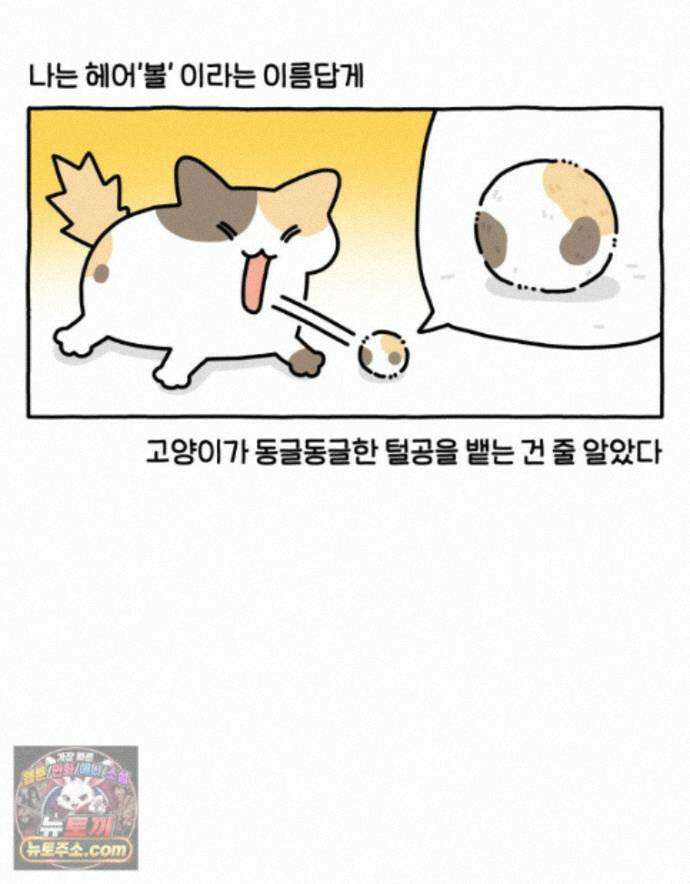 먼지 덩어리 짱덕 76. 헤어볼 6