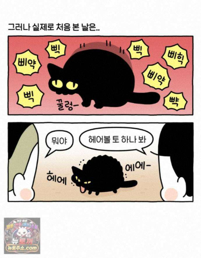 먼지 덩어리 짱덕 76. 헤어볼 8
