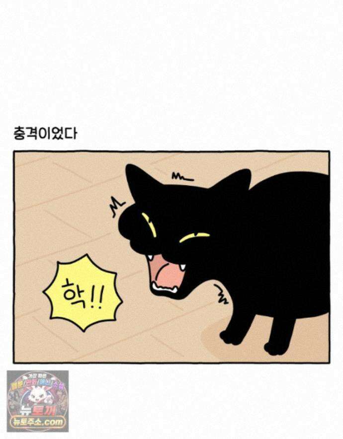 먼지 덩어리 짱덕 76. 헤어볼 9