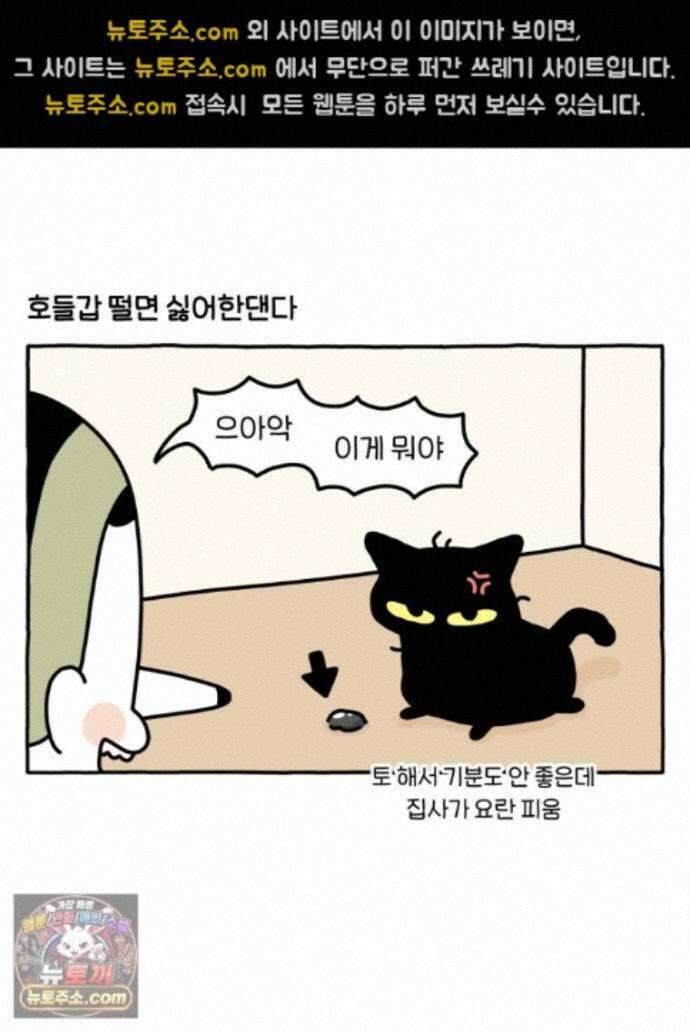 먼지 덩어리 짱덕 76. 헤어볼 20