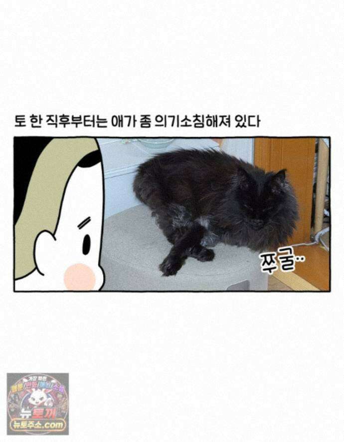 먼지 덩어리 짱덕 76. 헤어볼 21