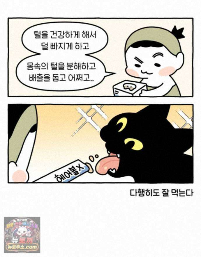 먼지 덩어리 짱덕 76. 헤어볼 29