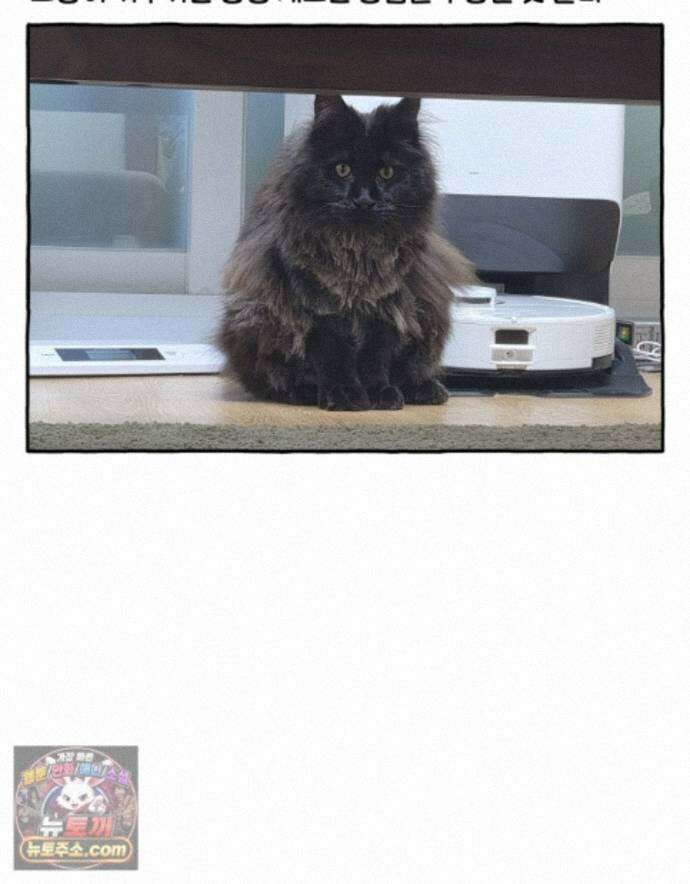 먼지 덩어리 짱덕 76. 헤어볼 34