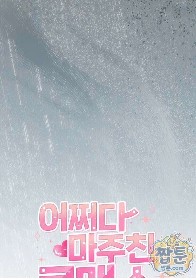 어쩌다 마주친 로맨스 33화 13