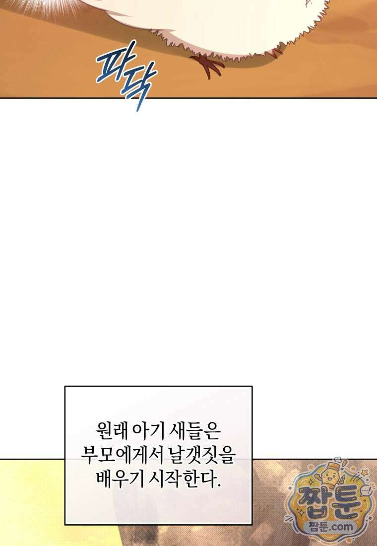 백호 가문의 아기 솜뭉치 31화 2