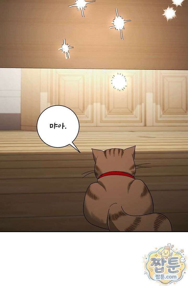한 줄짜리 영애였을 터 265화 41