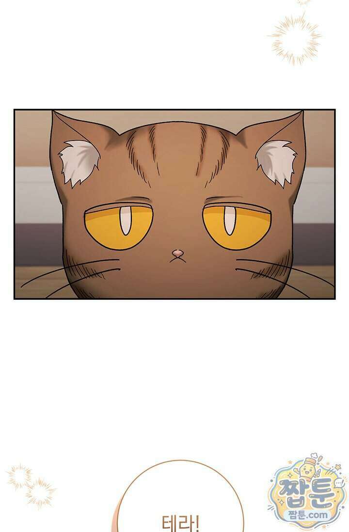 한 줄짜리 영애였을 터 265화 42