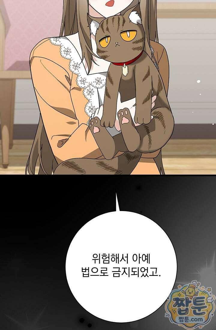 한 줄짜리 영애였을 터 265화 58