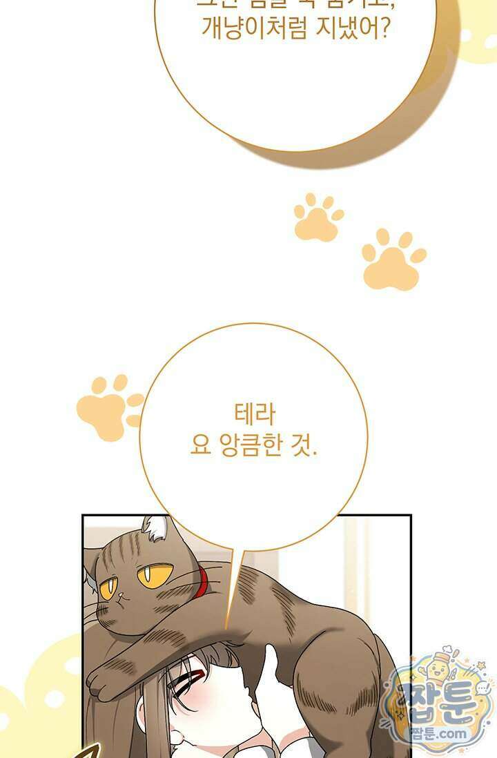 한 줄짜리 영애였을 터 265화 69