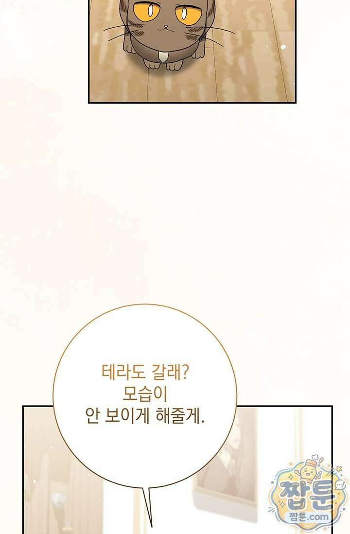 한 줄짜리 영애였을 터 265화 82
