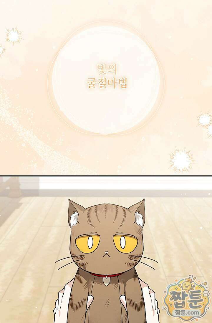 한 줄짜리 영애였을 터 265화 84