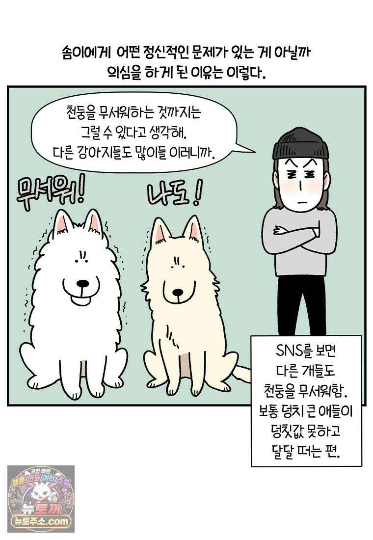 극한견주 시즌2 151화 공포증약 처방 2