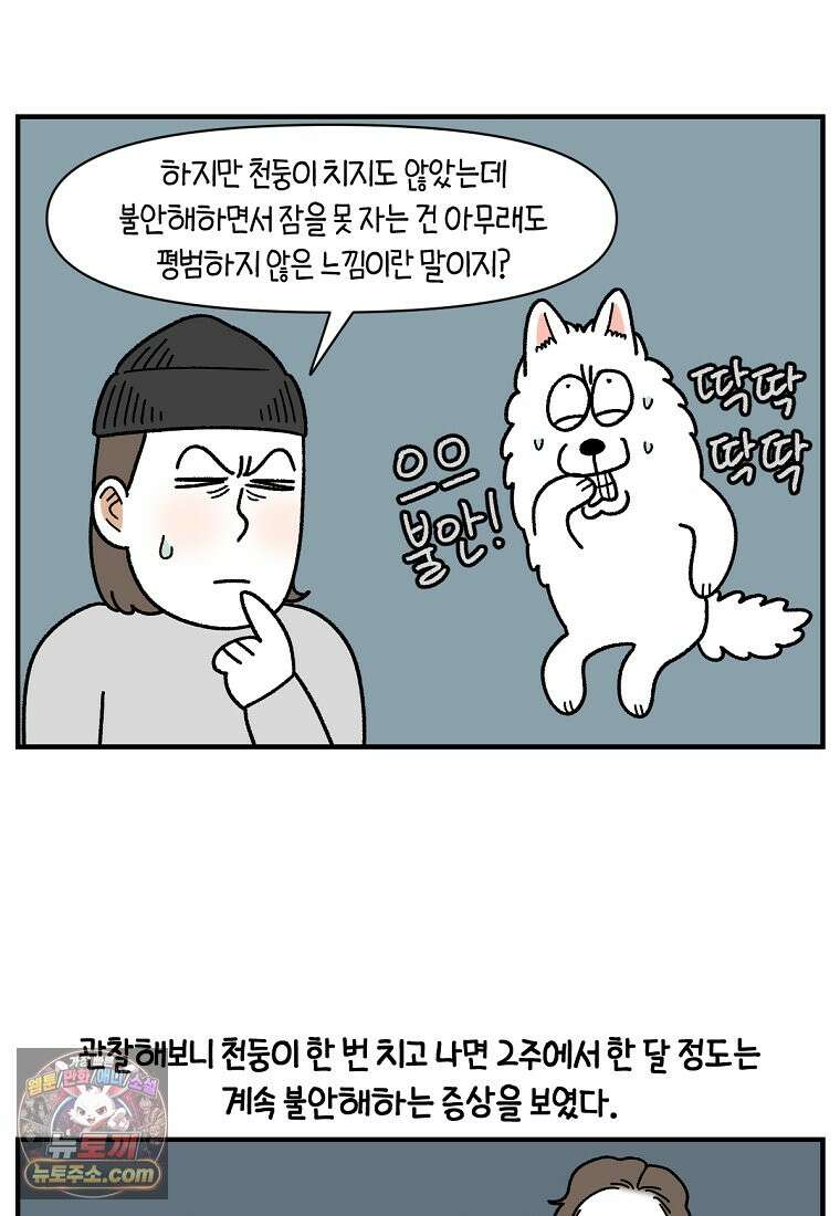 극한견주 시즌2 151화 공포증약 처방 3