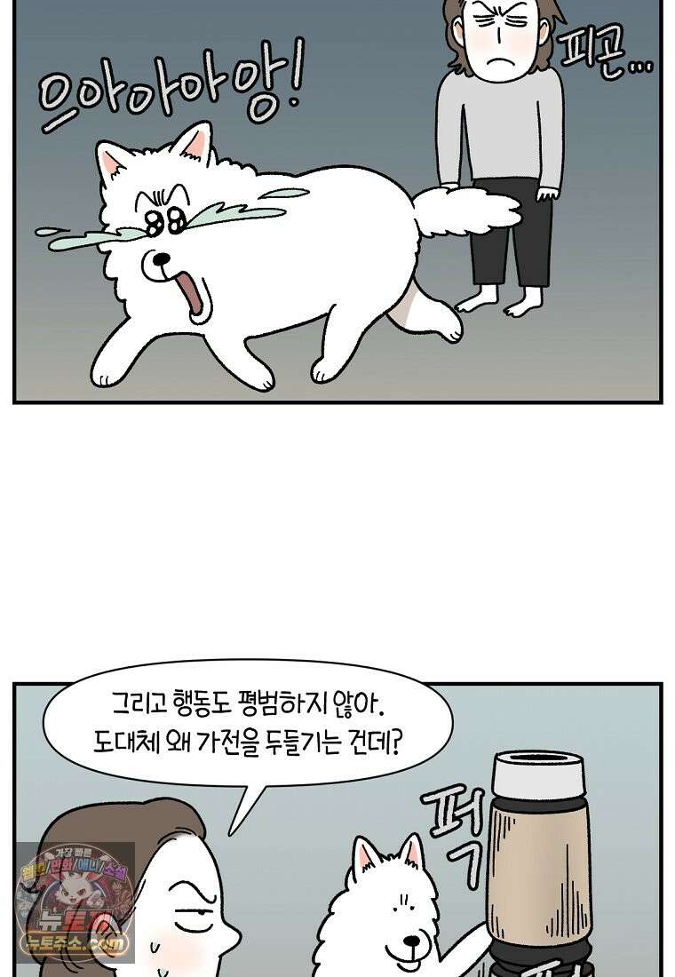 극한견주 시즌2 151화 공포증약 처방 4
