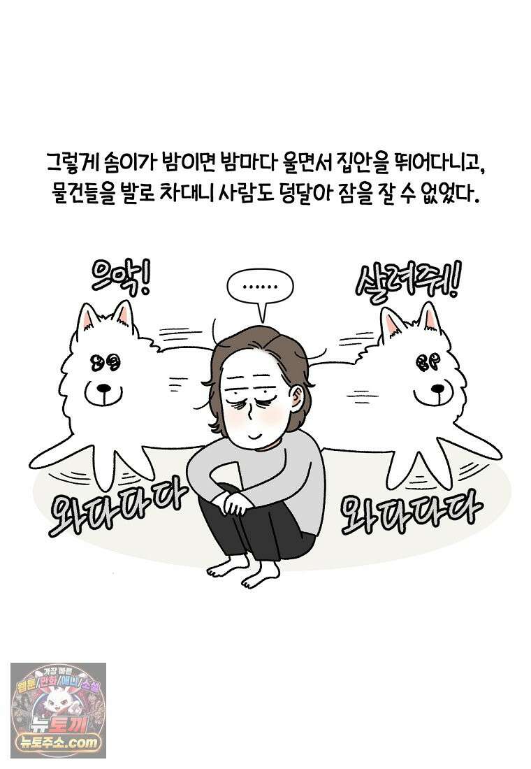 극한견주 시즌2 151화 공포증약 처방 6