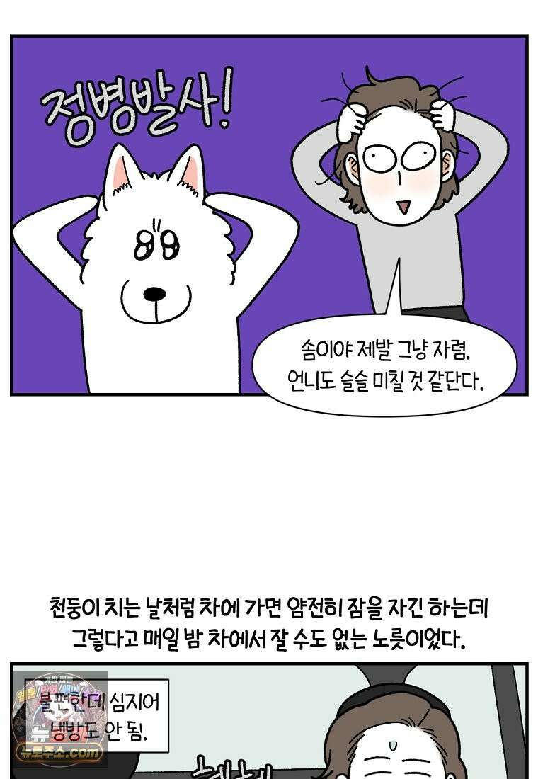극한견주 시즌2 151화 공포증약 처방 7