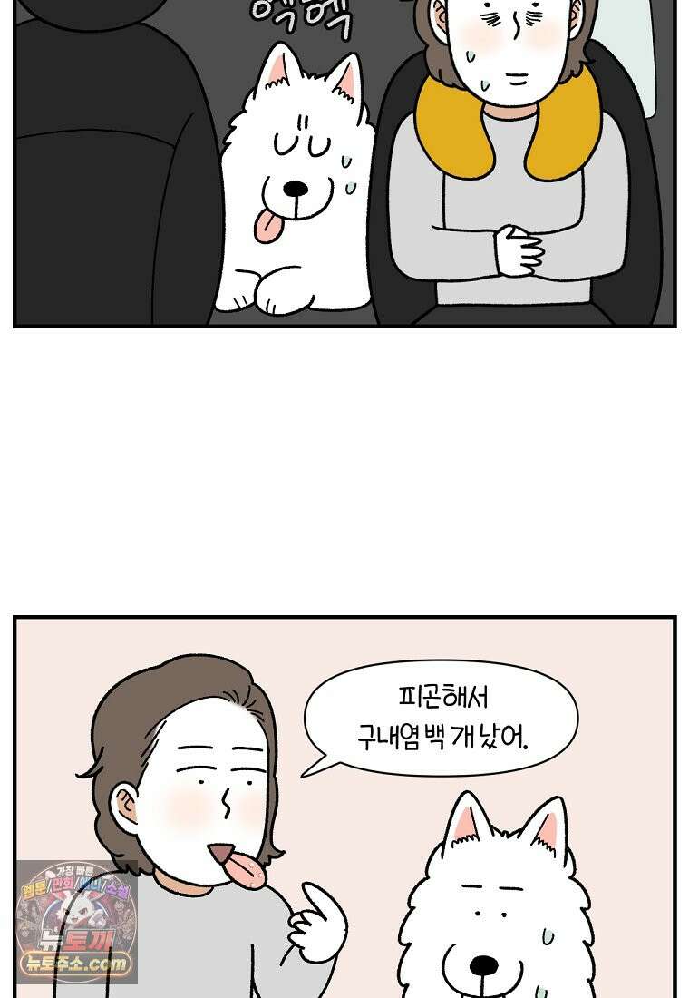 극한견주 시즌2 151화 공포증약 처방 8
