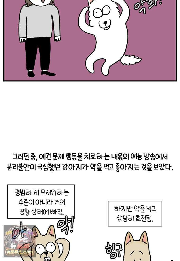 극한견주 시즌2 151화 공포증약 처방 13