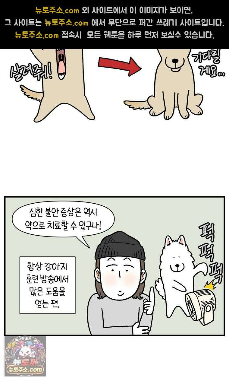 극한견주 시즌2 151화 공포증약 처방 14