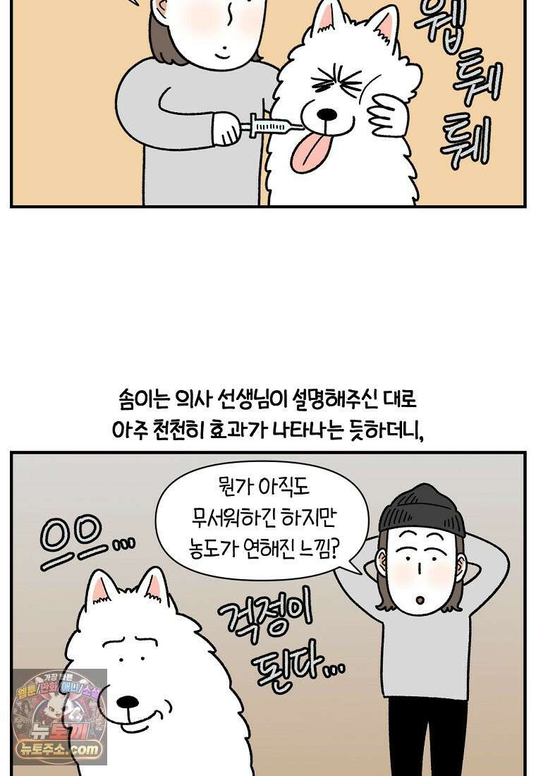 극한견주 시즌2 151화 공포증약 처방 19