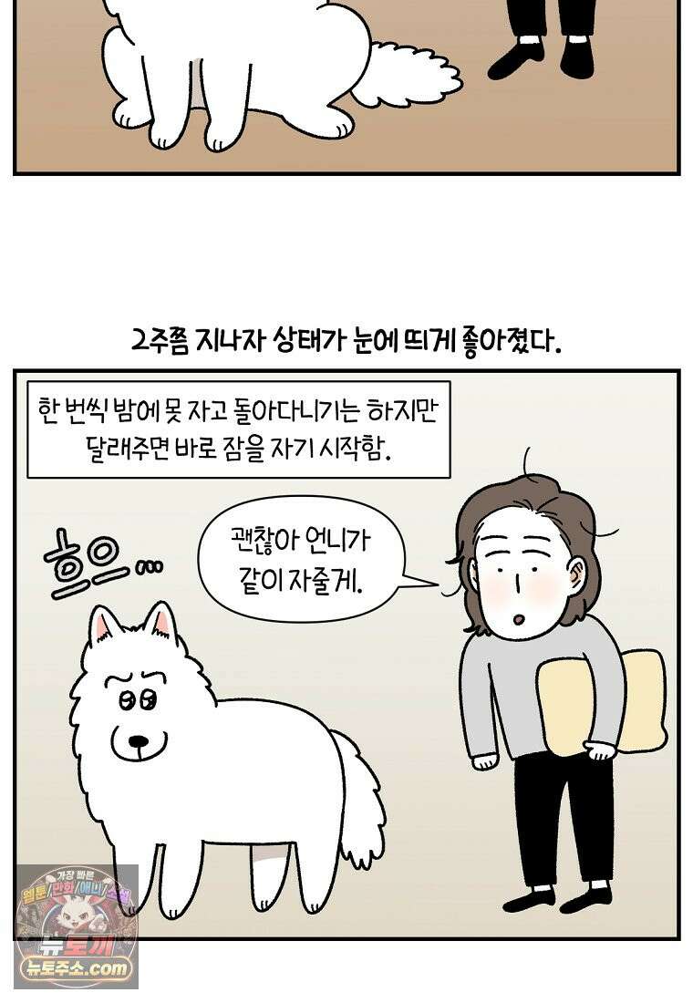 극한견주 시즌2 151화 공포증약 처방 20