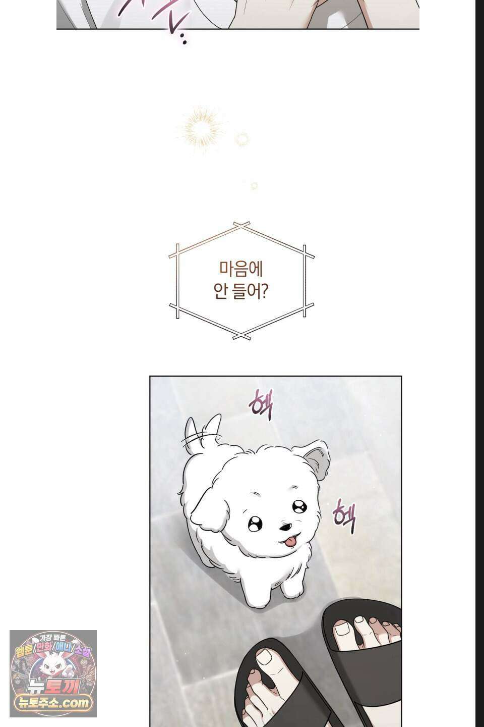 우아한 파괴 19화 10