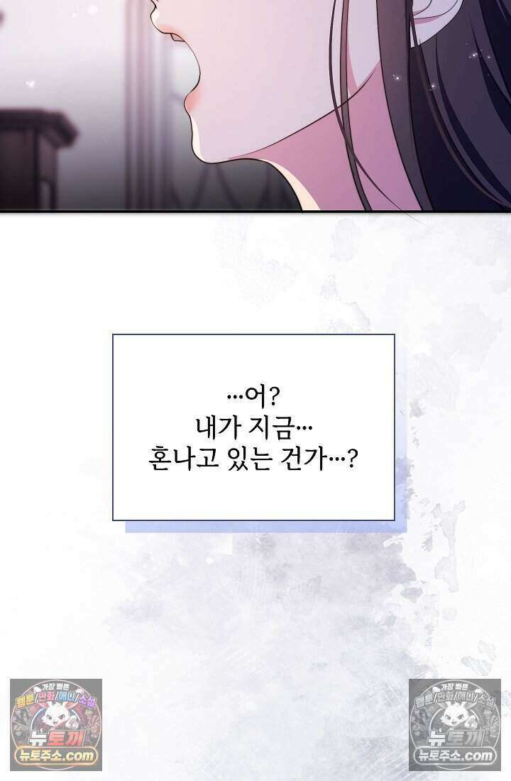 고요한 밤, 대공부인이 사라졌다 010 58