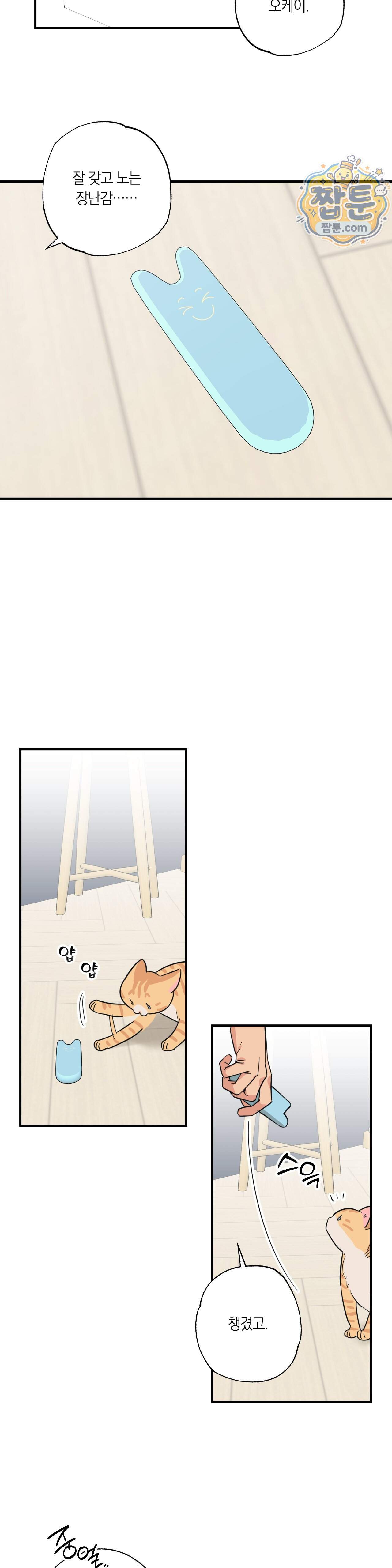 상호간택 31화 5