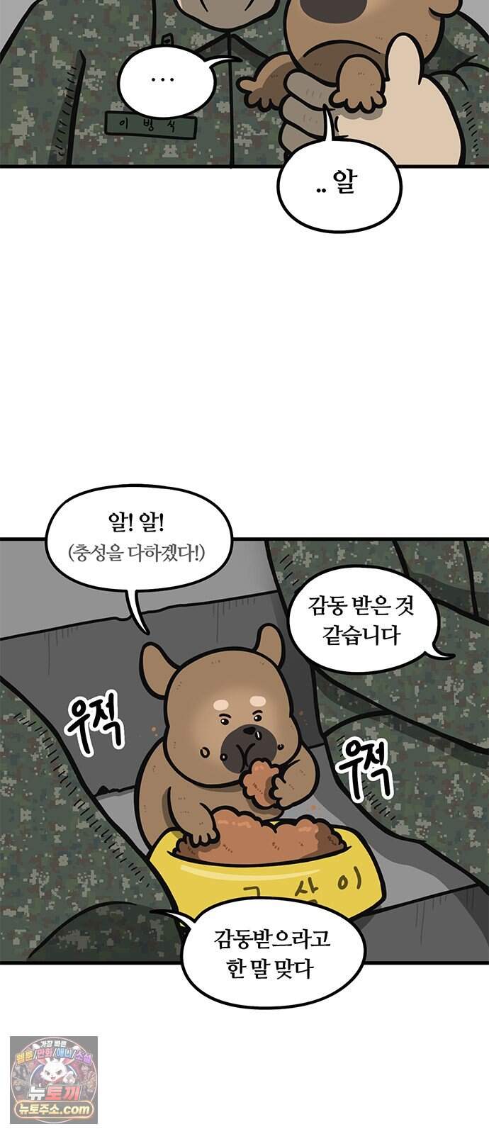 중대장은 실망했다 100화 이제 짬 다 찼다 25