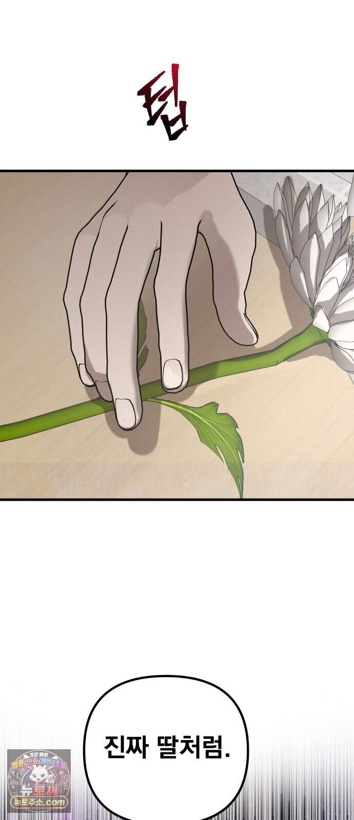스타코인 4화 12