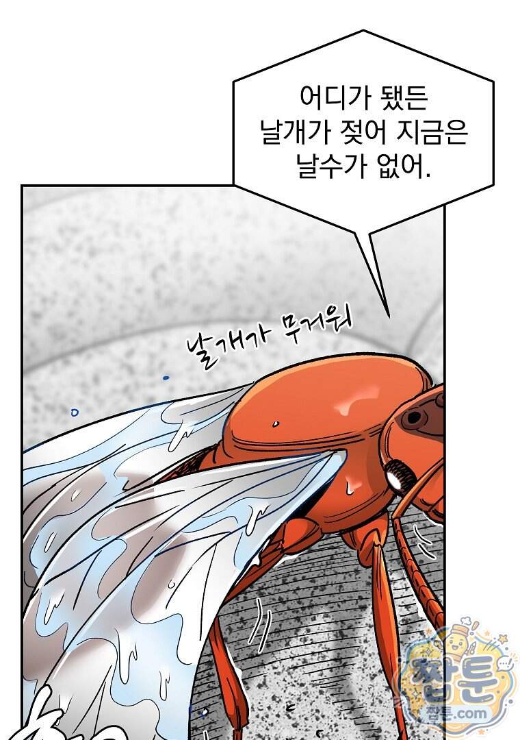 개미 44화 5