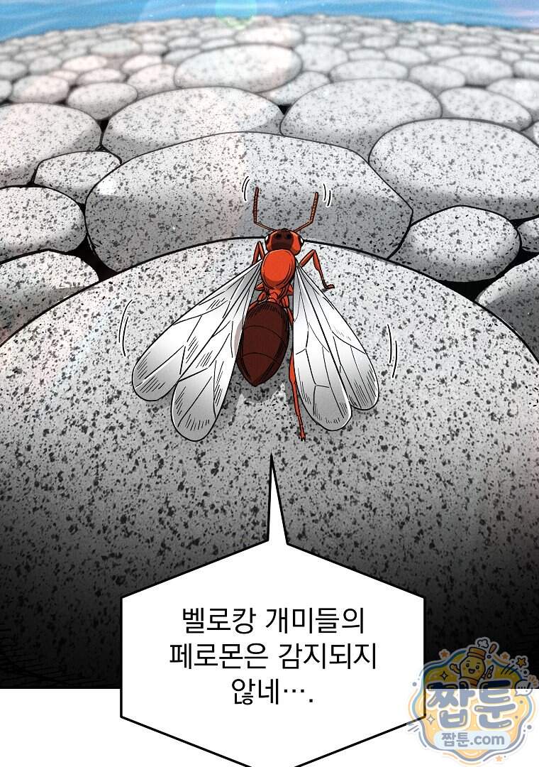 개미 44화 12
