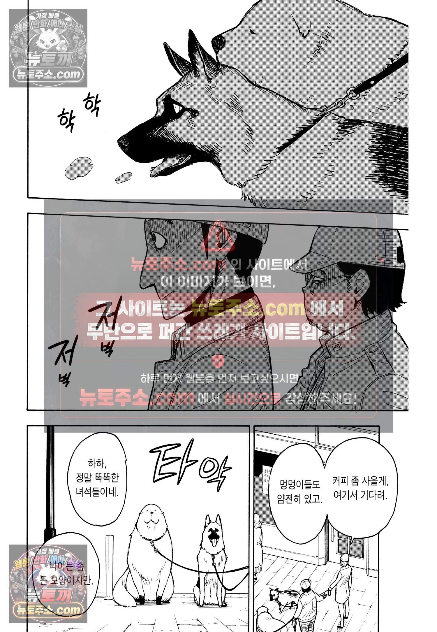 스파이 패밀리 MISSION : 18 17