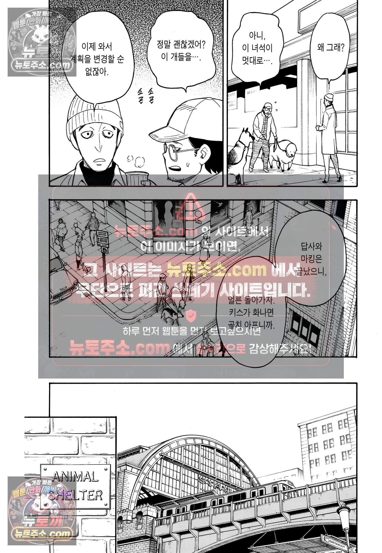 스파이 패밀리 MISSION : 18 20